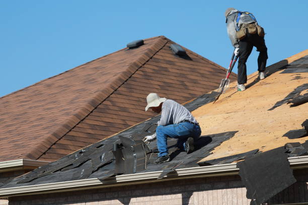 Best Roof Insulation Installation  in Coto De Za, CA