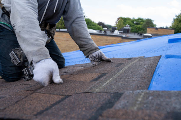 Sheet Metal Roofing in Coto De Caza, CA